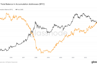 Bitcoin accumulation addresses near record 800K despite whale selling