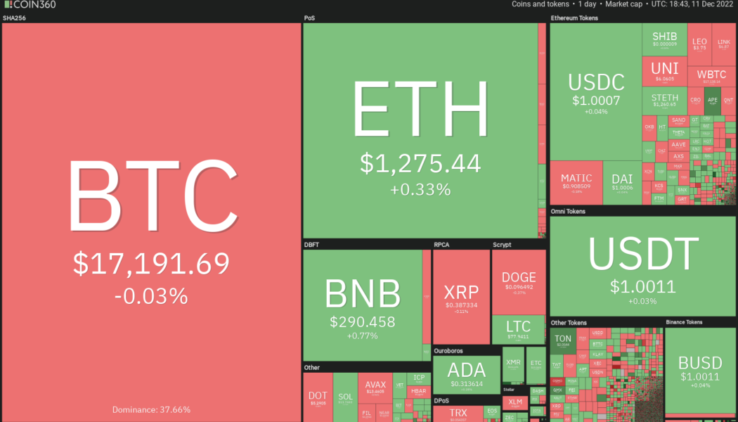 Bitcoin’s boring price action allows XMR, TON, TWT and AXS to gather strength