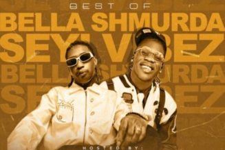 DJ Plentysongsz – Best Of Bella Shmurda & Seyi Vibez 2022 Mix