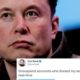 Elon Musk Polls Tweeps On Reinstating Suspended Accounts