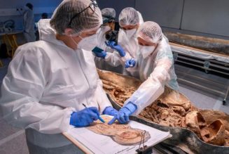 French Archaeologists Identified the Bodies of the Two Sarcophagi Found Beneath Notre Dame