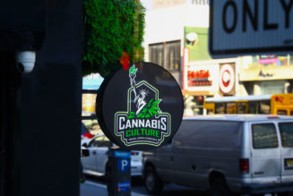 Green Light: NYC Officially Opens First Legal Weed Store In East Village