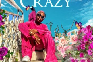 Steven Adeoye – Crazy