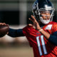 Tennessee Titans Expected to Start QB Josh Dobbs