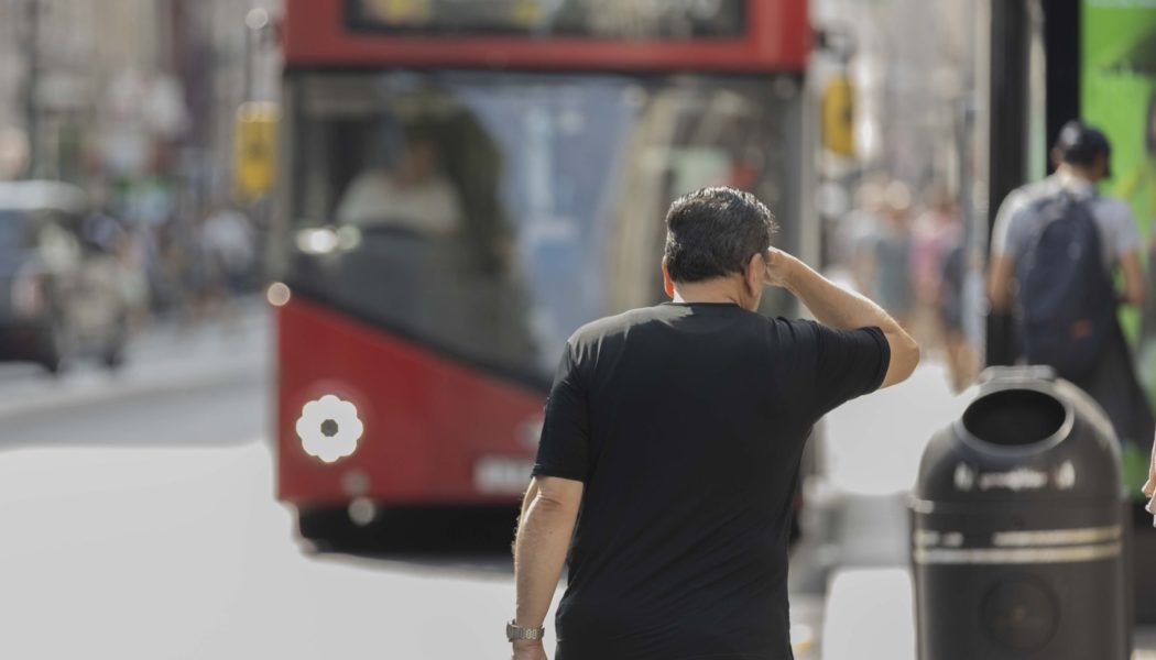 This was the hottest year yet for the UK