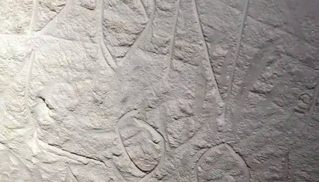 Vandals Destroyed Ancient Cave Art in Australia