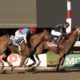 2023 Pegasus World Cup Invitational Stakes | Cyberknife Among Final Invites