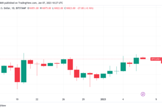 Bitcoin price nears 3-week high as trader says sub-7% CPI may see $19K