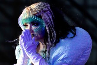 Björk Enlists Shygirl and Sega Bodega for New Remix of “Ovule”: Listen