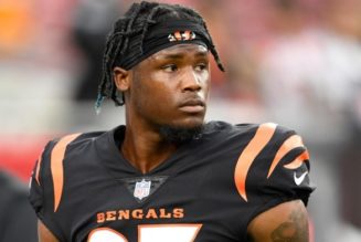 Damar Hamlin’s father asks for criticism of Bengals WR Tee Higgins to stop