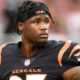 Damar Hamlin’s father asks for criticism of Bengals WR Tee Higgins to stop