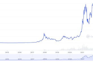 From Bernie Madoff to Bankman-Fried: Bitcoin maximalists have been validated