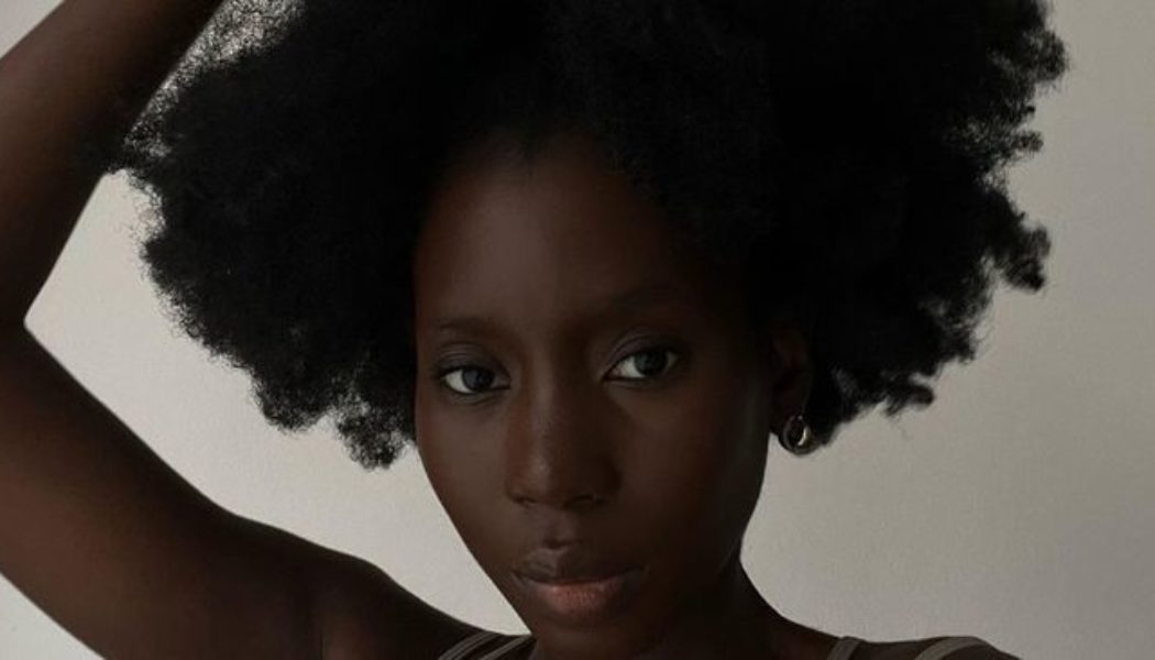 I’ve Done the Research—These Are the Best Blow Dryers for Afro Hair