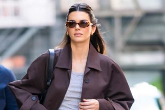 Kendall Jenner Wore the £55 Shoes That Are So Hyped Up for 2023