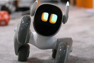 Loona is the Adorable $359 USD Petbot You Need