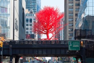 Pamela Rosenkranz Will Unveil a Brooding Pink Tree at the High Line in New York