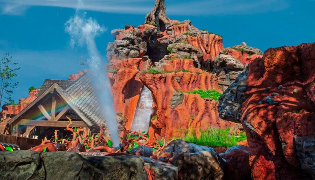 People Are Trying to Sell Splash Mountain Water Following the Iconic Ride's Closure