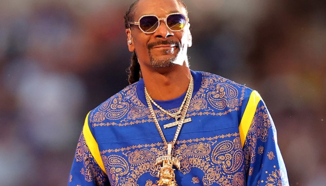 Snoop Dogg and Pete Davidson Named 2023 NFL Pro Bowl Captains