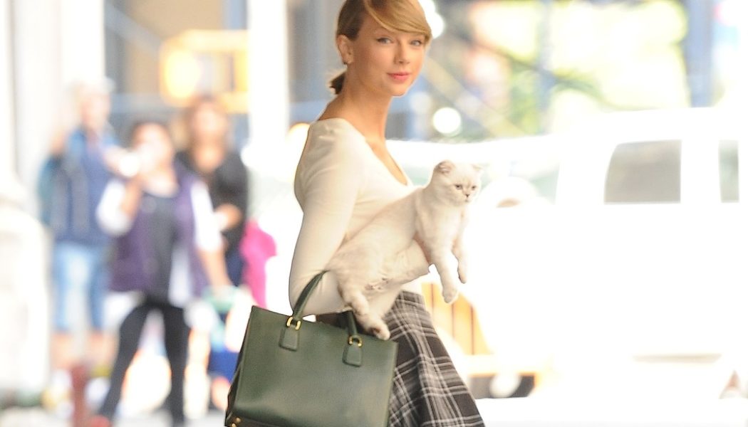 Taylor Swift’s Cat Olivia Benson Is Reportedly Worth $97 Million