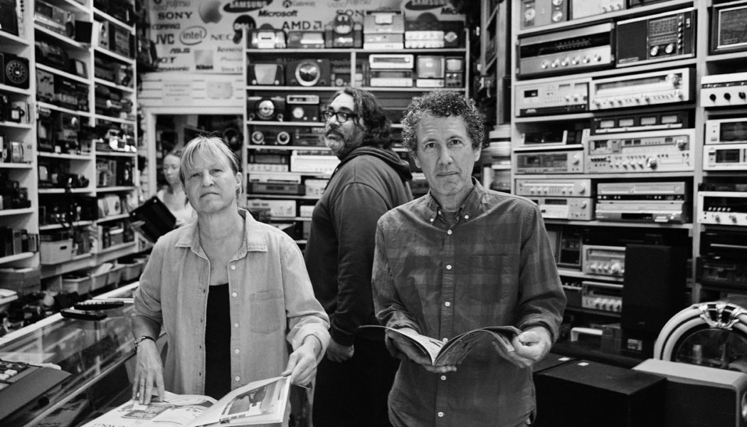 Yo La Tengo Share New Song “Aselestine”: Listen