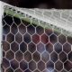 Belgian goalkeeper Arne Espeel, 25, dies on field right after making saving penalty kick - Fox News