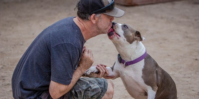 Pebbles loves humans and running in the yard, says the shelter.