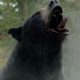 Cocaine Bear doesn’t have a problem — it just doesn’t know when to stop