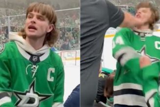 Dallas Stars fan punched in face after using racial slur - Fox News