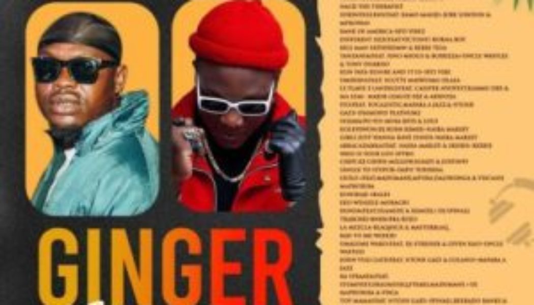 DJ Venum X Somadina – Ginger Mix