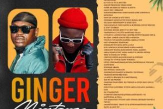 DJ Venum X Somadina – Ginger Mix