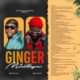 DJ Venum X Somadina – Ginger Mix