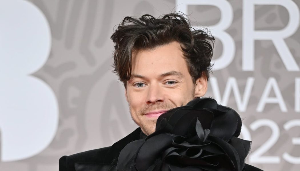 Harry Styles's Fans Speculate About his Dyed Hair at the 2023 Brits