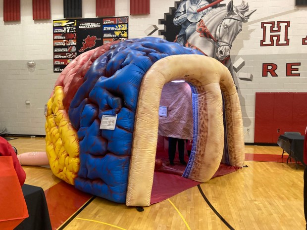 The University Hospitals AmeriBrain greets visitors at Healthy Living at Harvey, allowing them to see how strokes, tumors and other medical conditions affect the brain. (Bryson Durst -- The News-Herald).