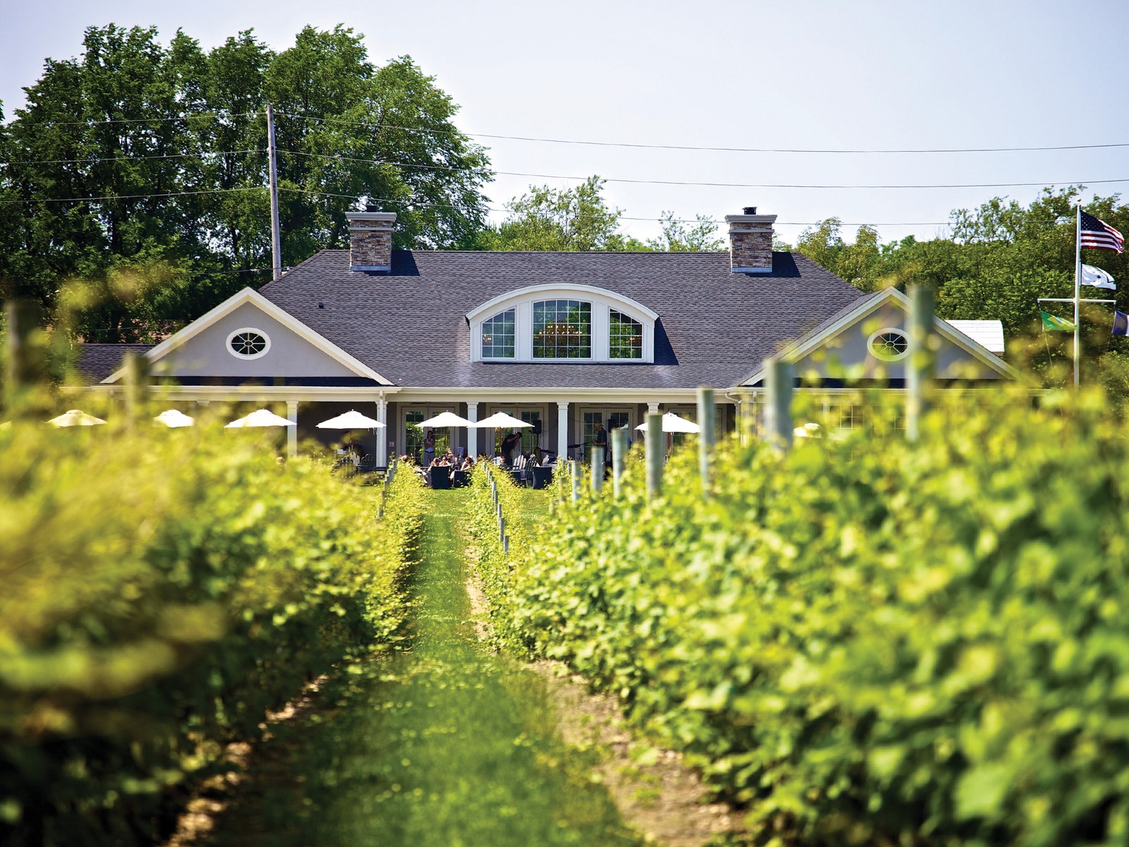 This way for wine at Sparkling Pointe vineyard