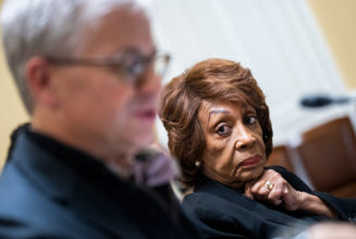 Rep. Maxine Waters Fries MAGA Bozos In Congress With Ease