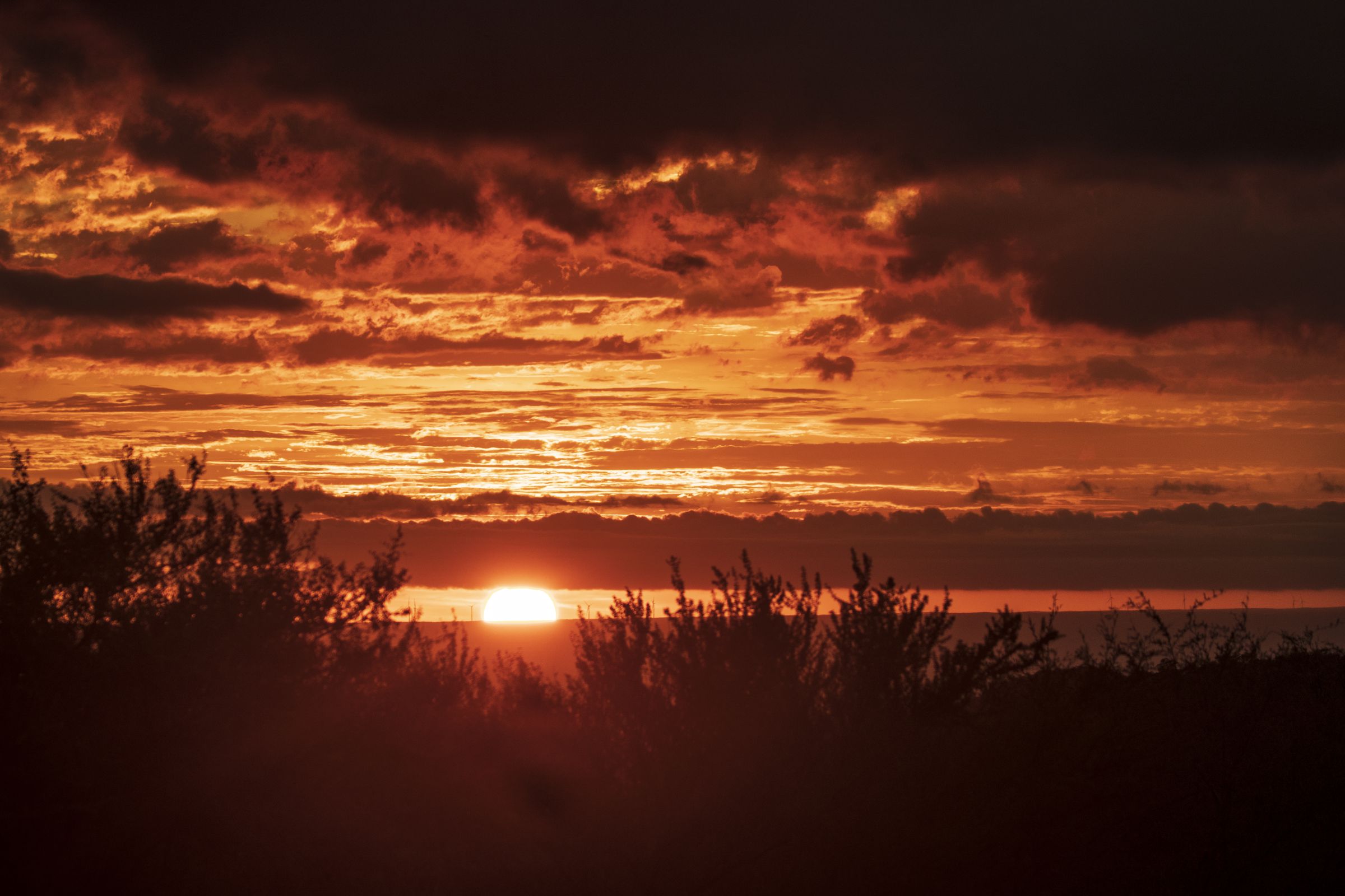 A cloudy orange sky during sunset. The sun is low on the horizon.