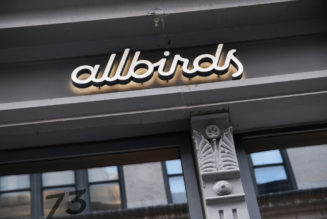 As Allbirds Sales & Stocks Plummet, CFO Shown The Door & Store Openings Deaded