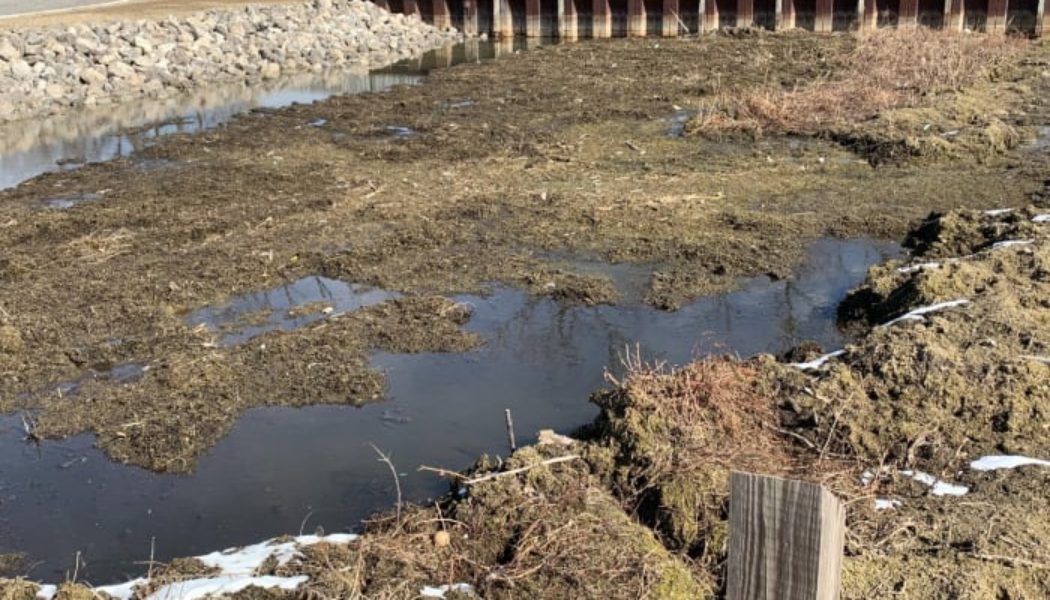 'Attacking our lifestyle': Macomb County trying to get to bottom of muck problem - WDIV ClickOnDetroit