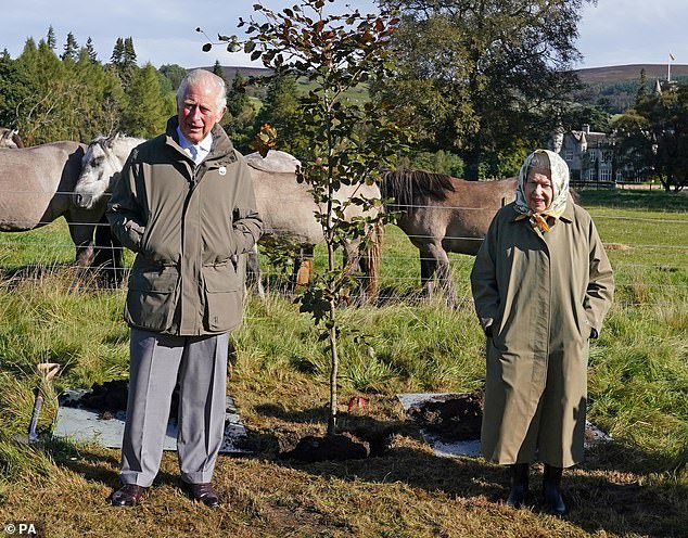 Praise: Bear, who will be volunteering with the Scouts, praised King Charles' support for charity work and hailed the Monarch as 'an adventurer'