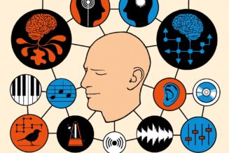 David Sulzer’s Wild World of Music - The New Yorker