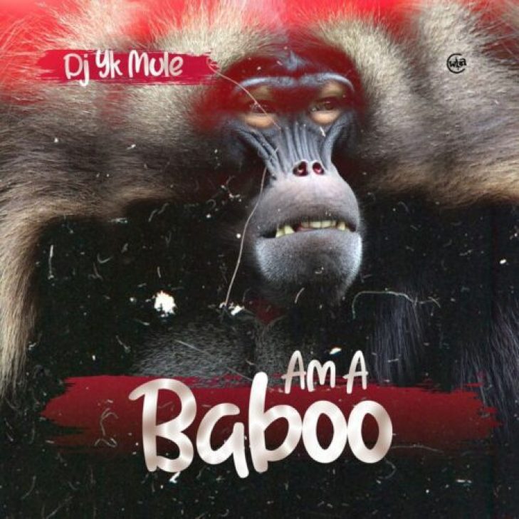 DJ YK Mule &#8211; Am A Baboo