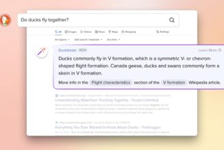 DuckDuckGo’s building AI-generated answers into its search engine