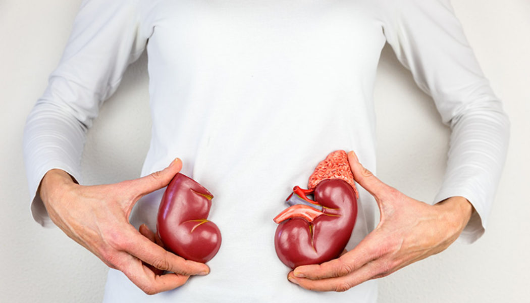 Healthy lifestyle key to preventing kidney degeneration say health experts - The Week