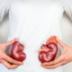 Healthy lifestyle key to preventing kidney degeneration say health experts - The Week