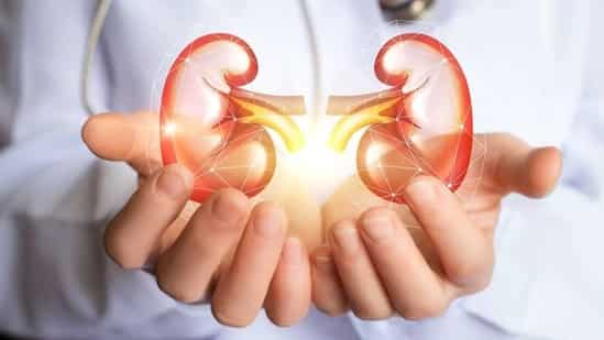 Lifestyle factors that can lead to kidney diseases, symptoms, prevention tips (Shutterstock)