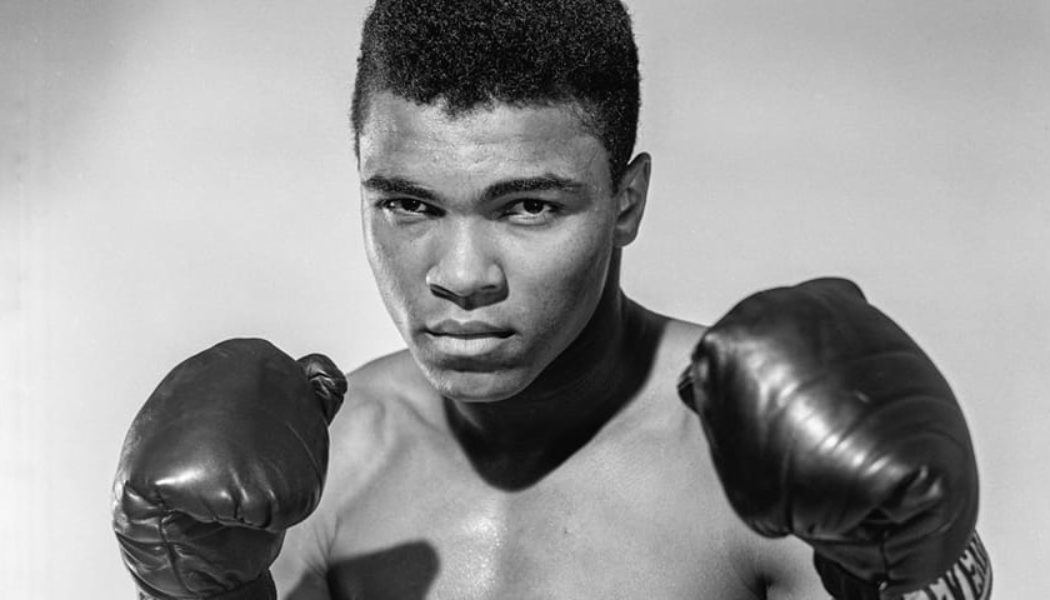 Regé-Jean Page, Morgan Freeman and Kevin Willmott Developing Muhammad Ali Series