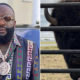 Rick Ross’ Pet Buffalo Are Causing Havoc in the Neighborhood