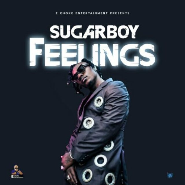 Sugarboy &#8211; Feelings