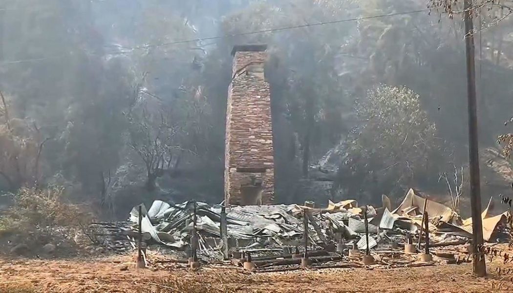 VR 360 View: Devastating wildfire compels family to adopt a new lifestyle among the redwoods - CBS San Francisco