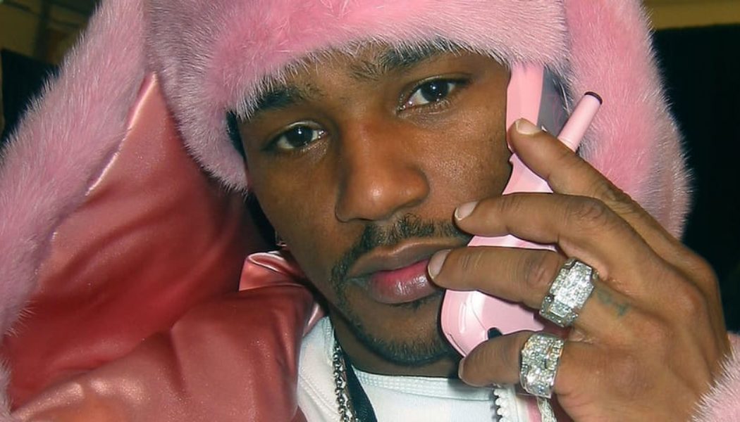 Cam’ron Sued Over Use of Photo Picturing Him Wearing Iconic Pink Fur Coat